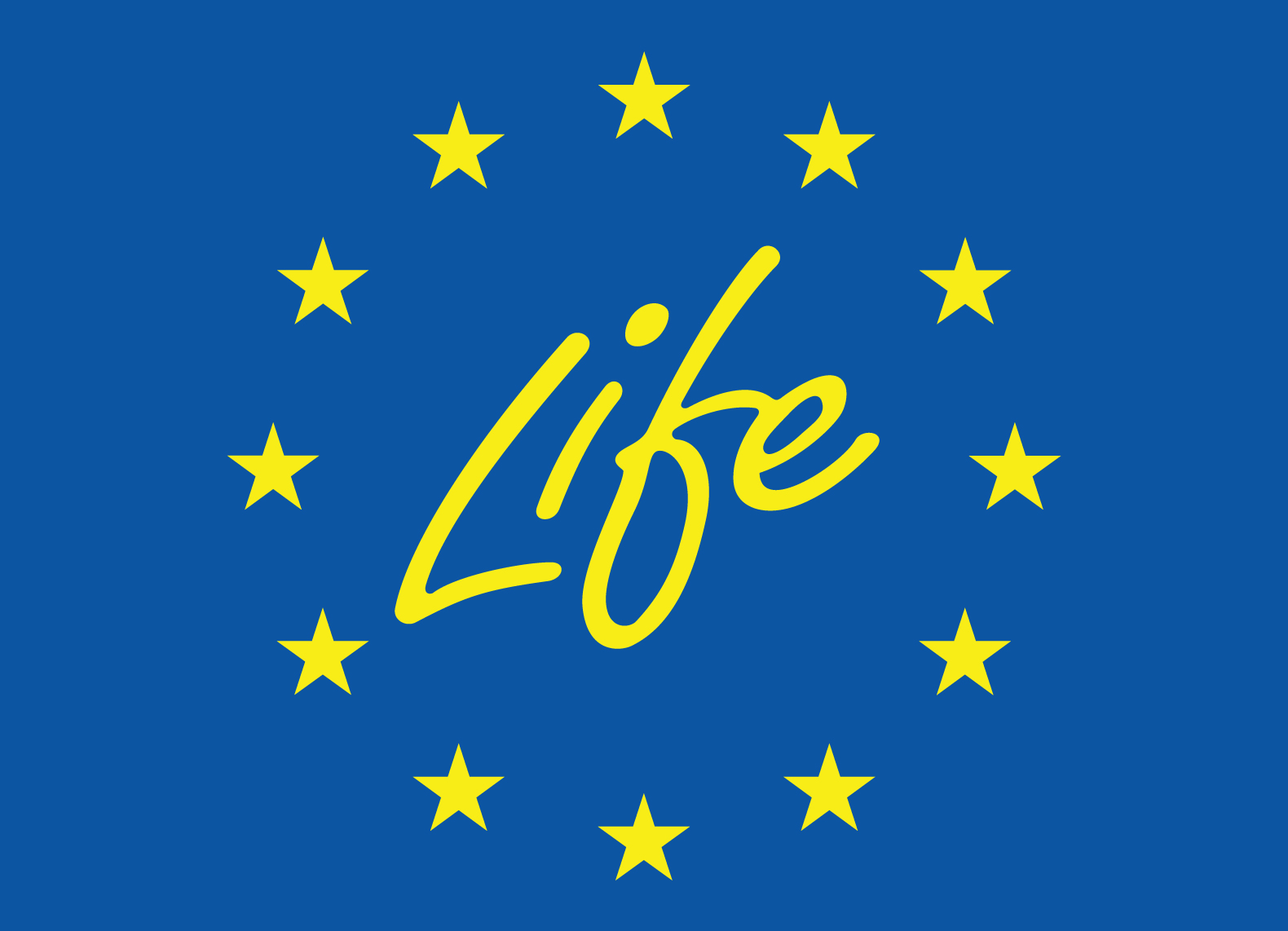 logo 6 life.jpg
